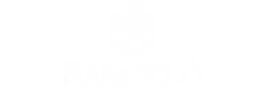 barcelo_logo-scaled-1.webp