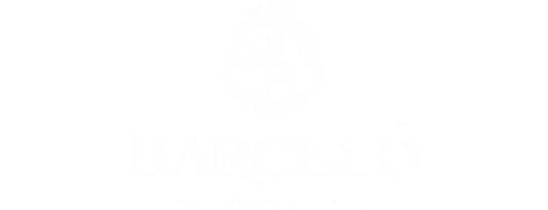 barcelo_logo-scaled-1.webp