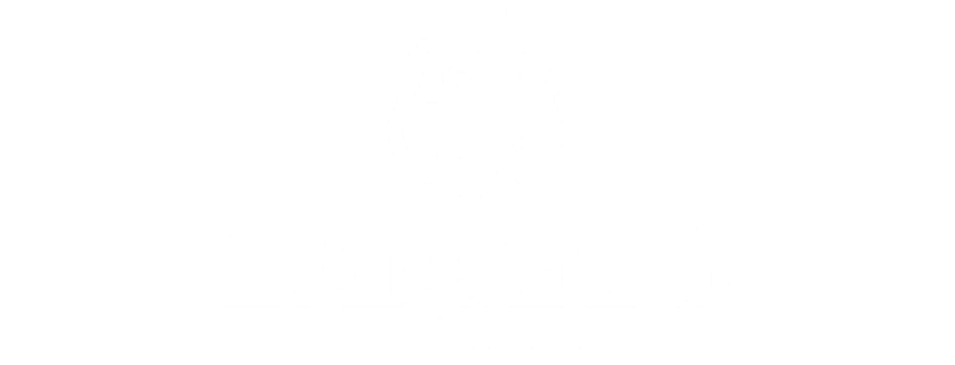 barcelo_logo-scaled-1.webp